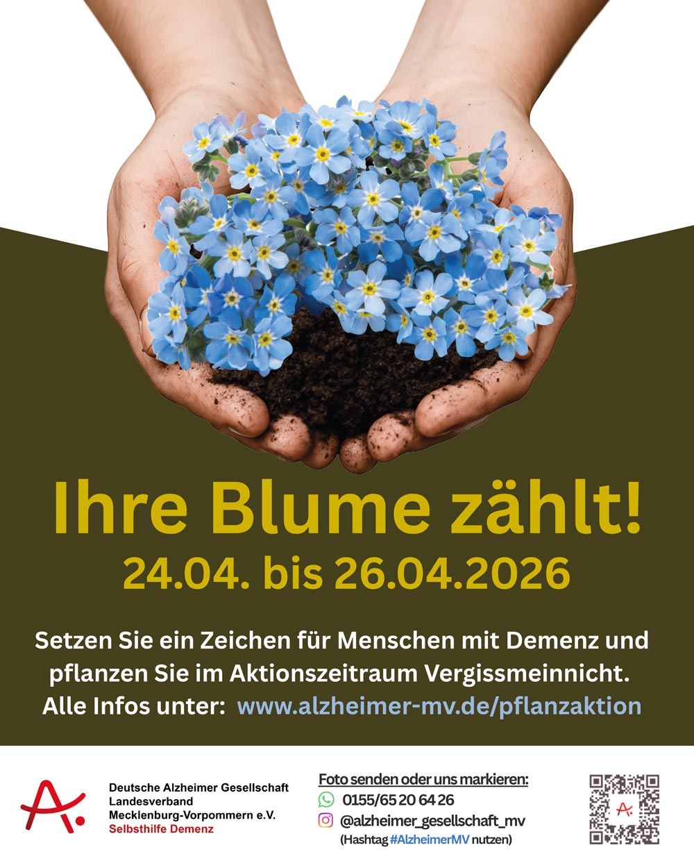 PDF_Social_Media_Beitrag